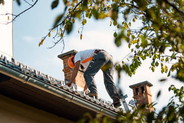 Best Storm Damage Roof Repair  in Morehead, KY