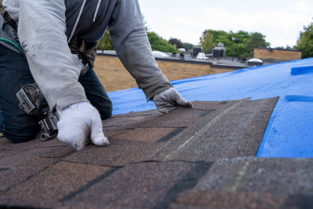 Best Residential Roofing Contractor  in Morehead, KY